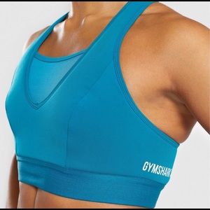NWOT Gymshark Endurance Sports Bra XL